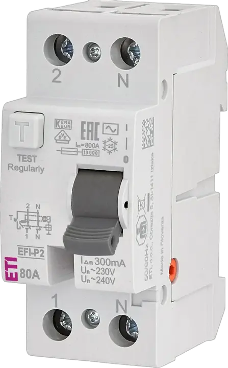 Image of EFI-P2 AC 80/0.3
