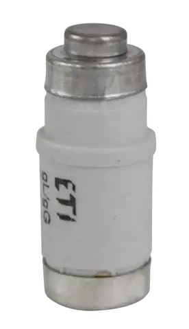 Image of D02 gG 50A/400V