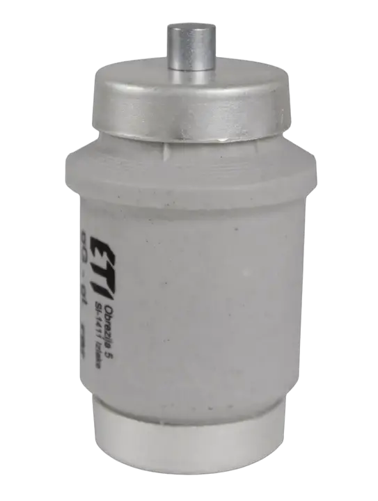 Image of DIV gG 100A/500V