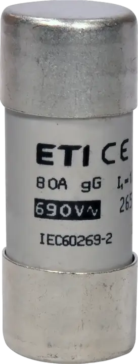 Image of CH22x58 gG 80A/690V