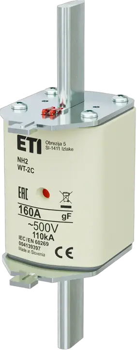 Image of NH2C gF 160A/500V