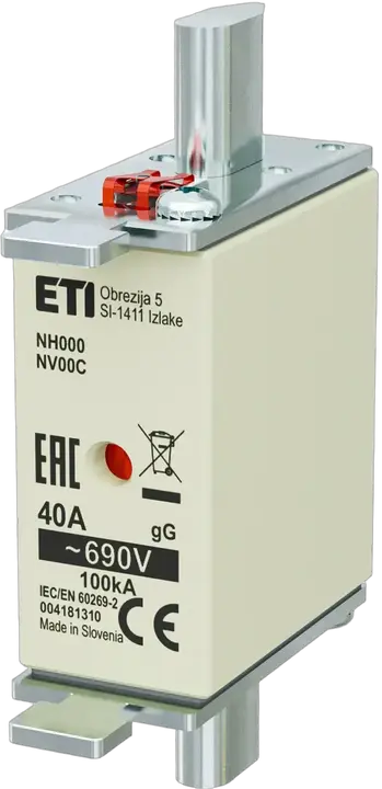 Image of NH000 gG 40A/690V
