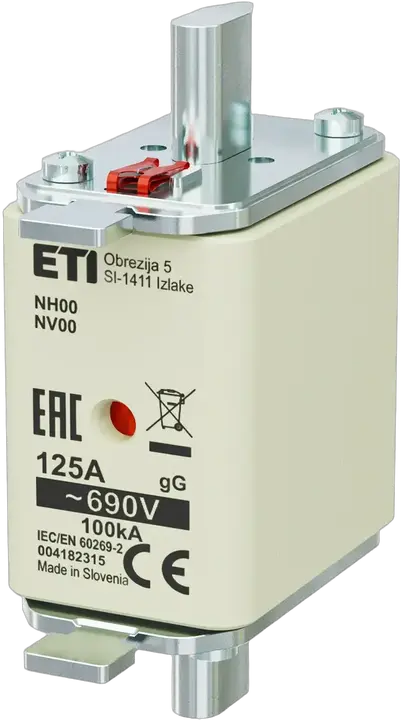 Image of NH00 gG 125A/690V