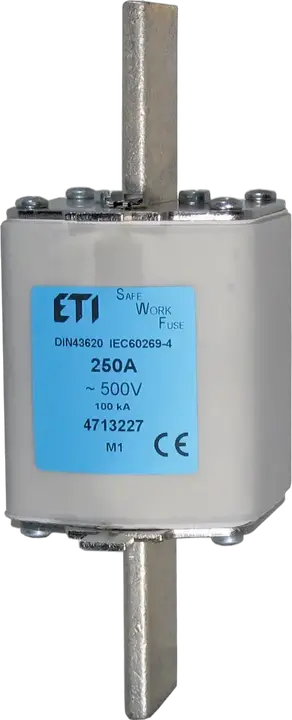 Image of NH1 SWF 80A/500V