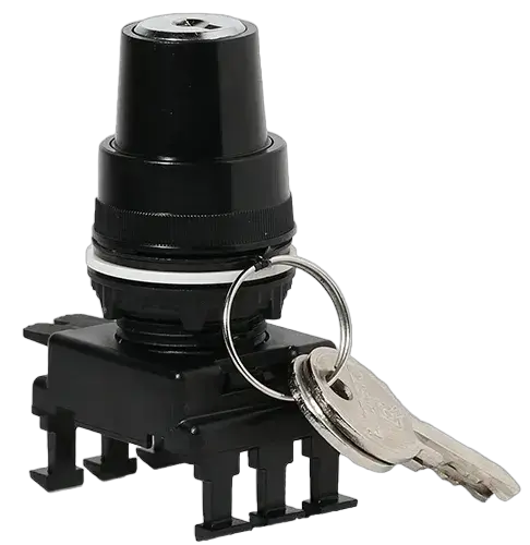 Image of *HK85C3
