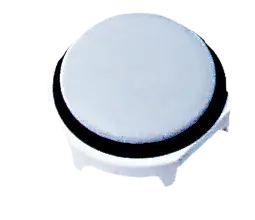 Image of *HH180002