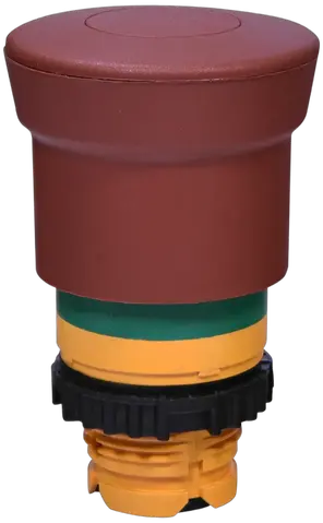 Image of NSE-PBM-P-RG